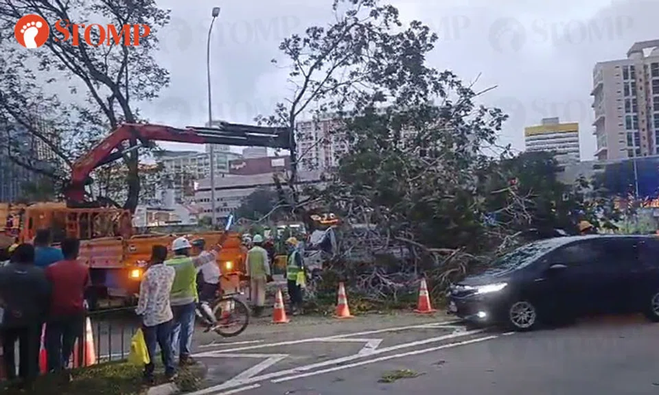 SCDF rescue trapped person after tree falls on pickup truck at Ophir ...