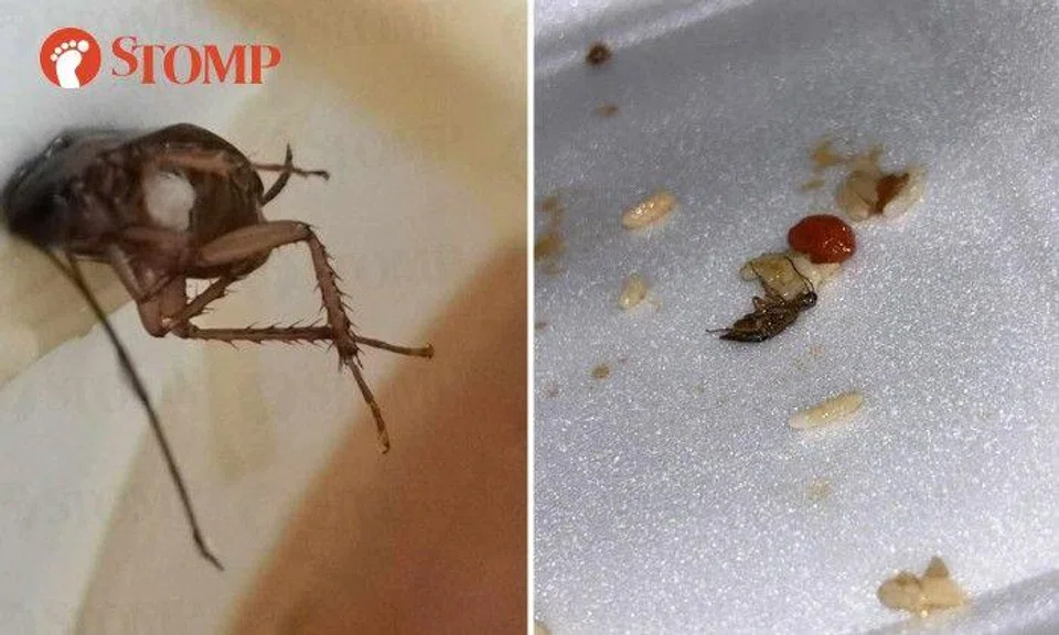 Two people found a cockroach in their takeaway food in separate incidents days before Christmas.
