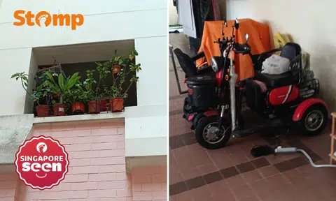 Woodlands resident risks neighbours' safety by charging PMA in corridor, placing plants on ledge