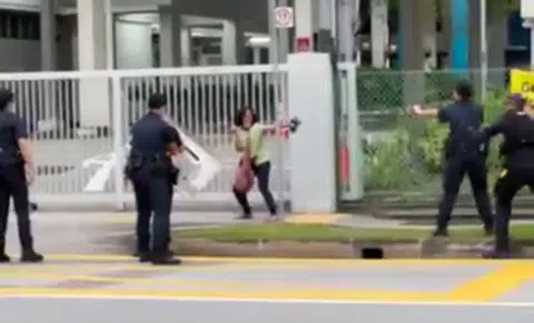 Woman waving knife at police had drug-induced psychotic disorder with paranoid delusions