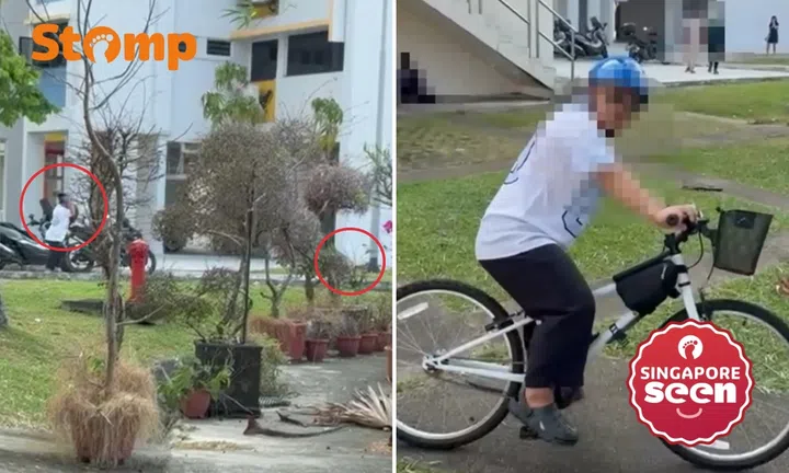 Man caught throwing footwear at cats in Upper Boon Keng: ‘Blatantly terrorising’
