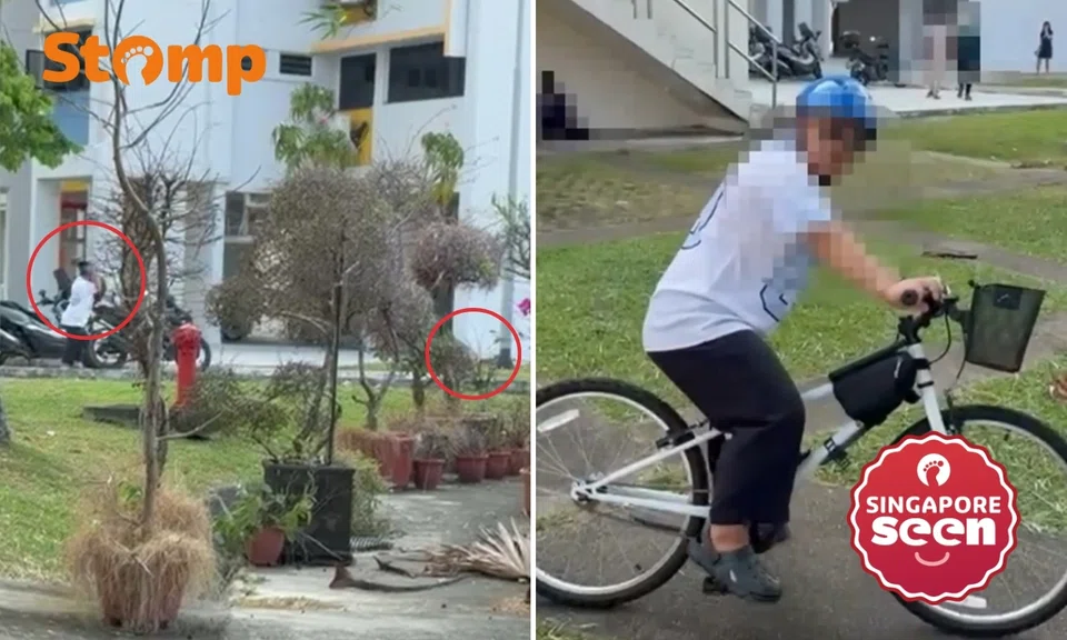 Man caught throwing footwear at cats in Upper Boon Keng: ‘Blatantly terrorising’