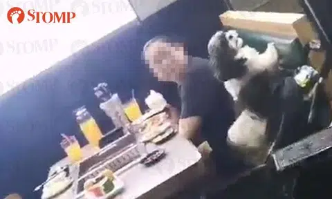 Woman allegedly uses restaurant chopsticks to feed pet dog at Bugis hotpot restaurant