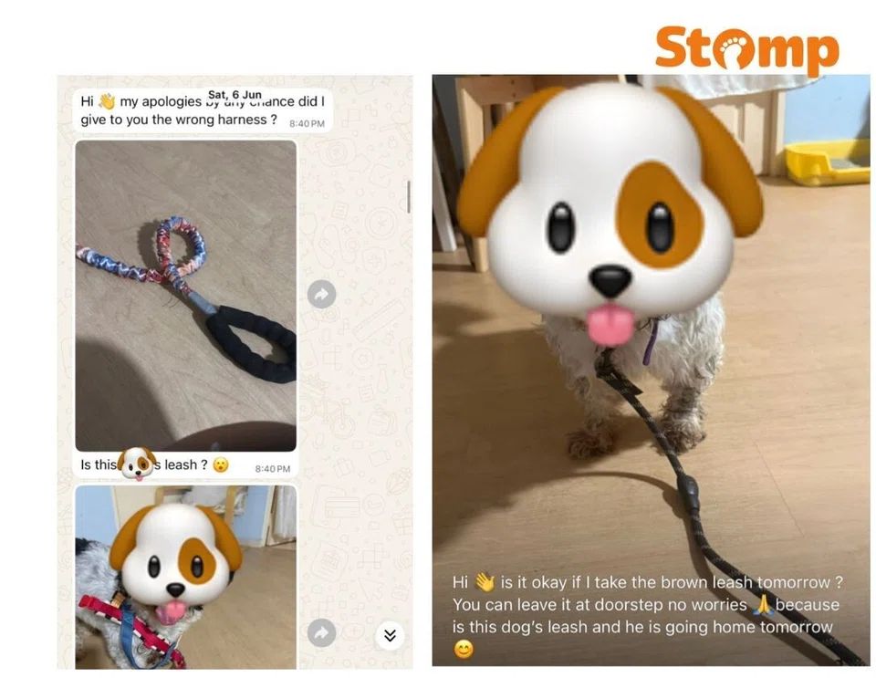 Dog owner allegedly blocked by sitter over missing items, late fee dispute — then receives ‘sudden’ refund 