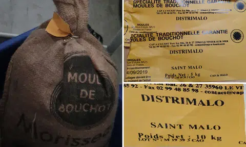 SFA recalls Moule Bouchot live mussels from France due to high count of E. coli bacteria