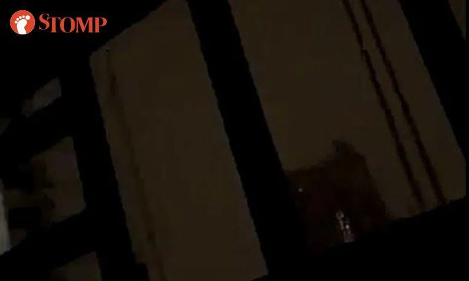 Sound of rope hitting window wakes Bendemeer resident up at 4am