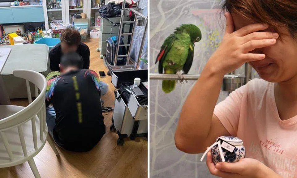 Woman seeking justice after pet parrot screams in pain during grooming session and later dies