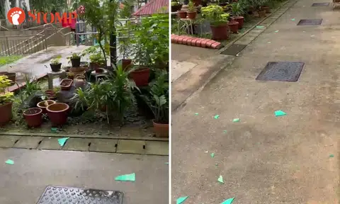 Shattered acrylic strewn at foot of Hougang block: AHTC reminds residents of dangers of objects falling from heights