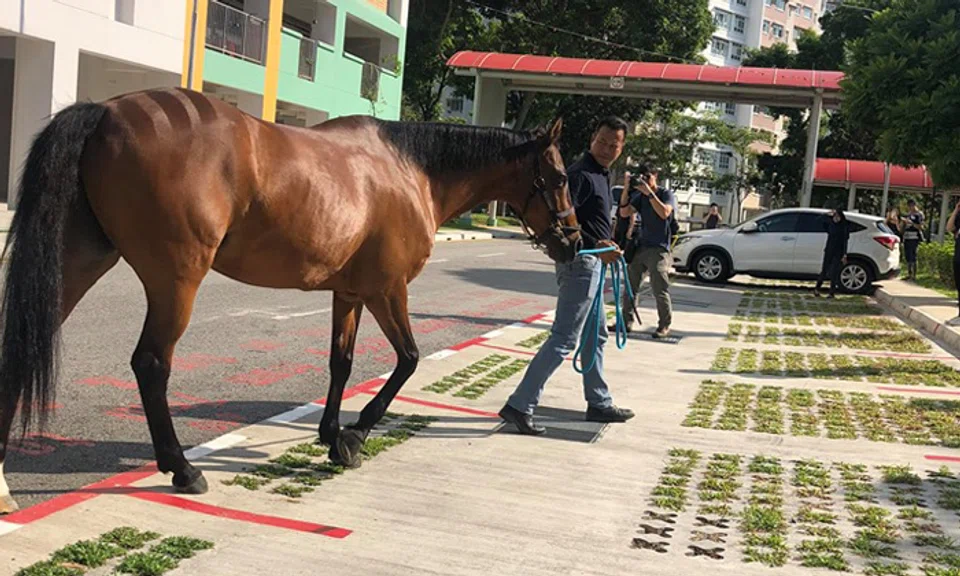 Photos: Honda William/Facebook