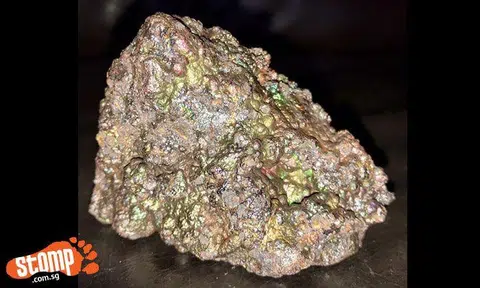 Buyer experiences a series of fortunate events after purchasing $40 'mysterious stone' in Hougang