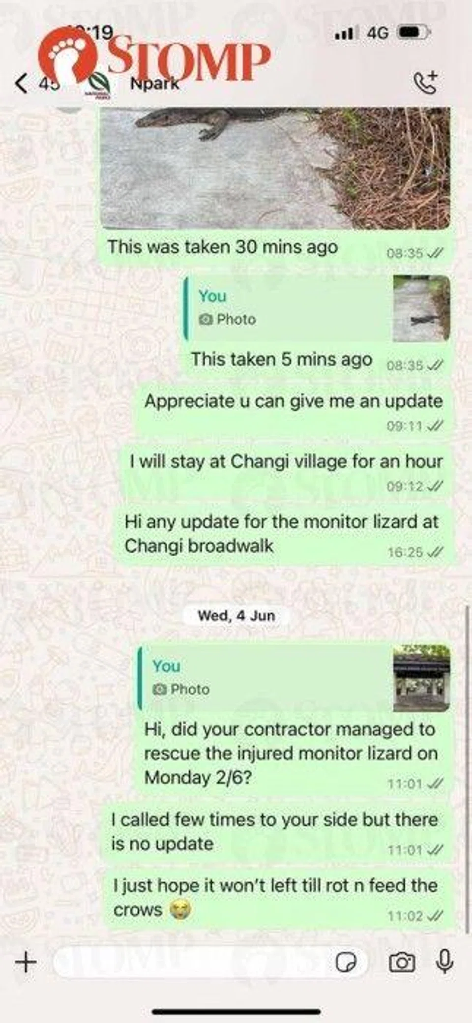 nparks whatsapp line