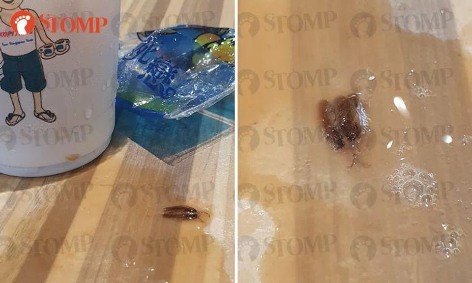 Pest control activated after diner finds 'cockroach' in teh peng at Kopitiam outlet in Jurong East