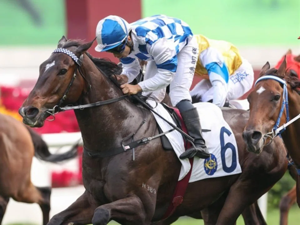The Mark Newnham-trained Bravehearts (Matthew Poon) taking a Class 3 (2,000m) at Sha Tin on Nov 17. The Argentinian-bred, who races in the same colours as 2022 Singapore Gold Cup winner Hongkong Great, looks the goods in the Group 3 Queen Mother Memorial Cup (2,400m) at Sha Tin on May 4.

