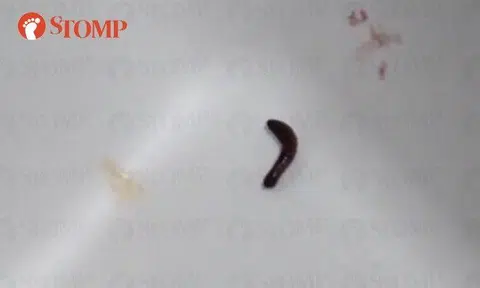 Bubble tea missing from woman's Collin's order, but she finds worm wriggling in salad instead