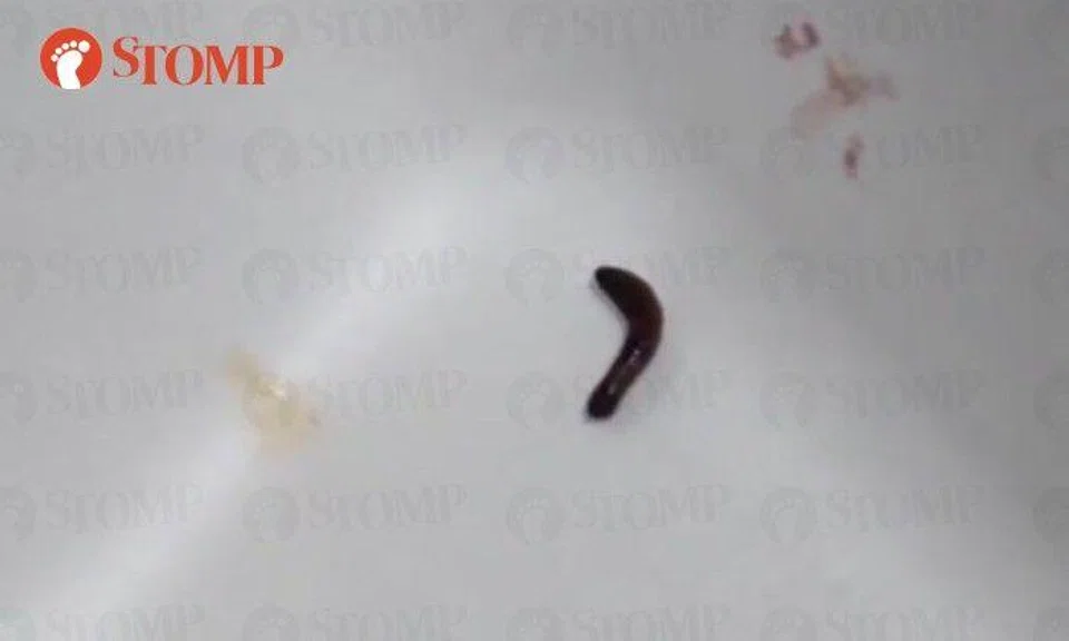 Bubble tea missing from woman's Collin's order, but she finds worm wriggling in salad instead