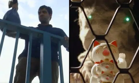 Man drowns kittens -- only to start hallucinating and seeing cats everywhere