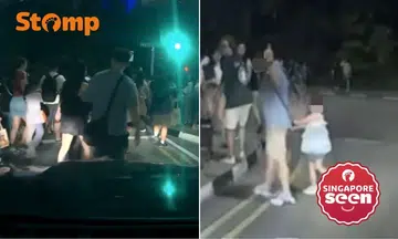 Man crosses road dangerously with child, flashes middle finger after Disney fireworks in Marina Bay