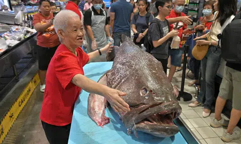 FairPrice shoppers get a slice of 100kg grouper in AMK, one man says 'it's bigger than my GF'
