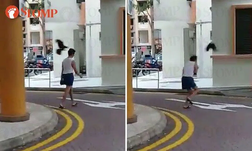 Attack of the angry bird at Toa Payoh