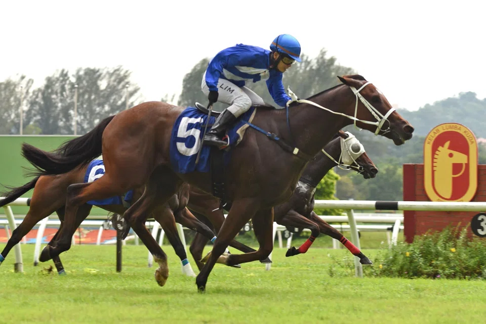 Flying Success (Lim Aun Kean) charging home to open his account at Sungai Besi on Jan 4. He impressed with a good gallop on the training track on Feb 4.