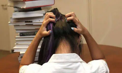 17-year-old girl who fell to death at Clementi condo: Here are heartbreaking entries from her journal