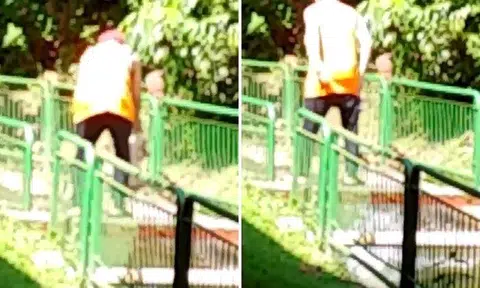 Man who dropped pet dogs into canal says he brought them for a swim: NParks investigating