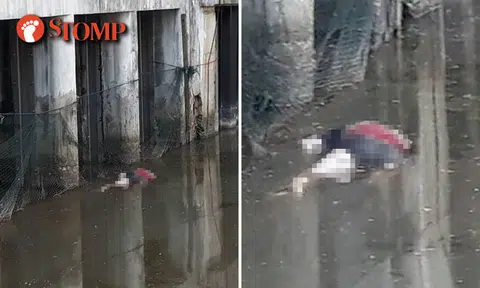 Body of 26-year-old man seen floating in Jurong Lake at Chinese Garden