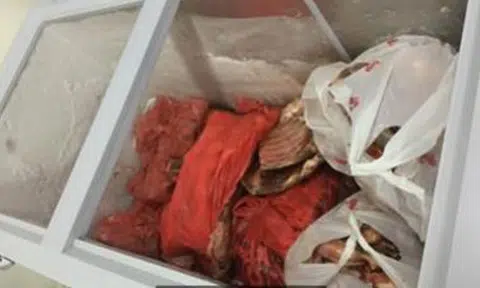 Company fined $10,000 for keeping 670kg of meat intended for sale in unlicensed cold store
