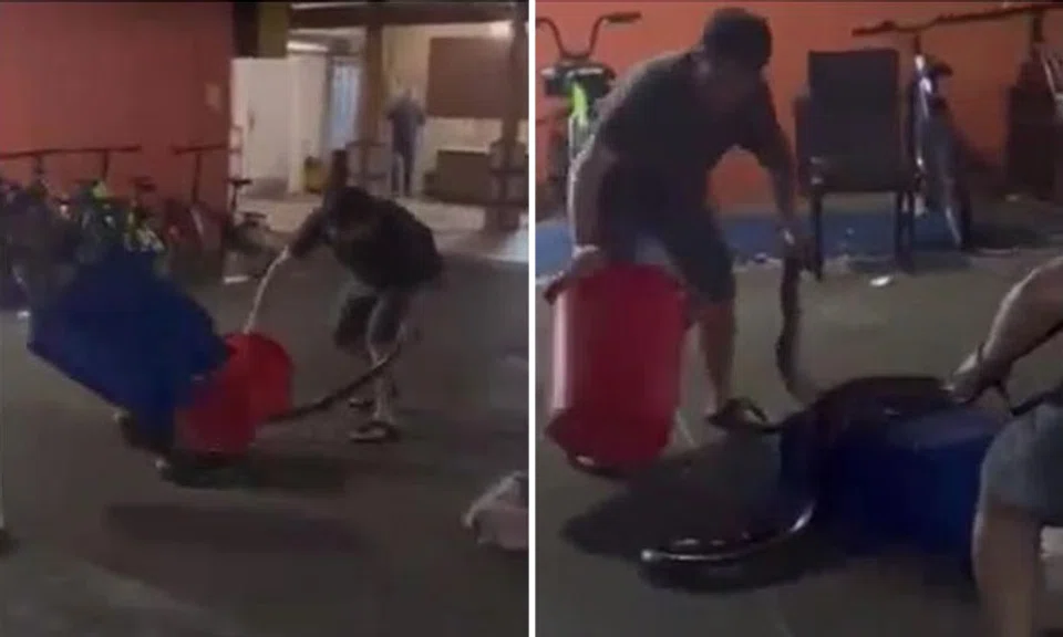 Mr Ricky Cheong said he had no intention of killing the snake at first. PHOTOS: ACRES/FACEBOOK