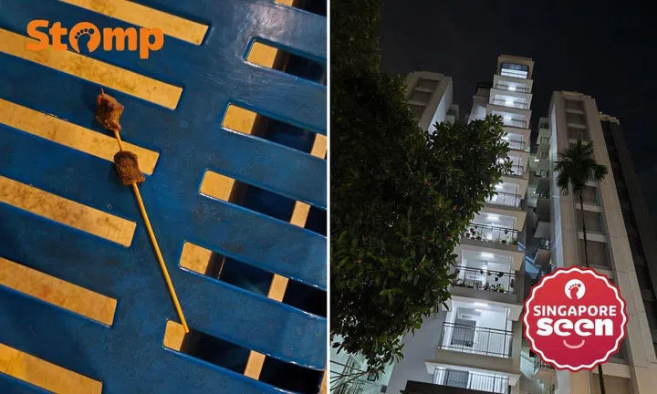 High-rise satay litter at Woodlands