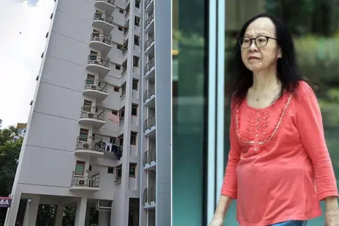 Elderly woman found guilty of harassing neighbour dies before sentencing