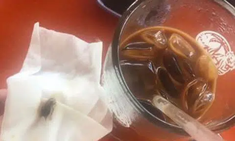 Woman enraged when Yishun coffeeshop stall owner says "bo bian" after she bites into cockroach that was in her iced coffee