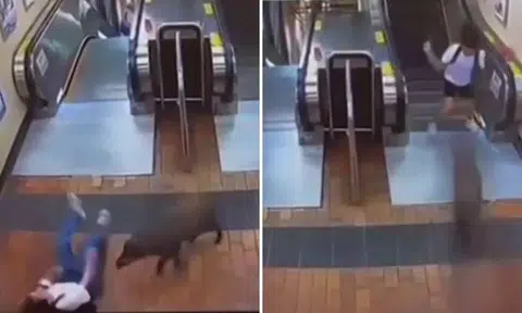 The incident took place in Hong Kong near the Fo Tan MTR station on July 28.