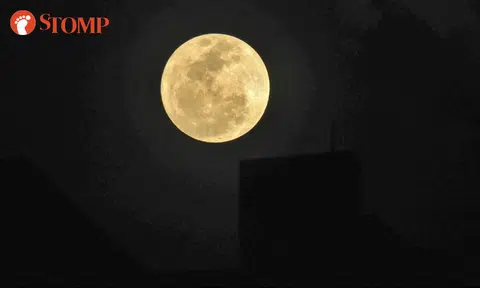 2017's first and only supermoon lights up skies