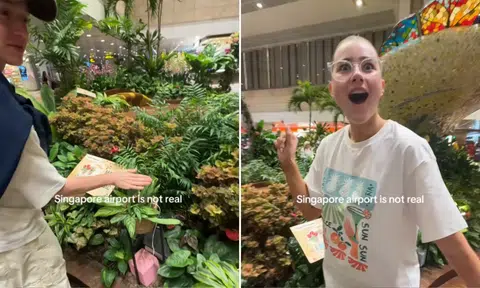 'Singapore airport is not real': Tourists amused by Changi's musical plant installation