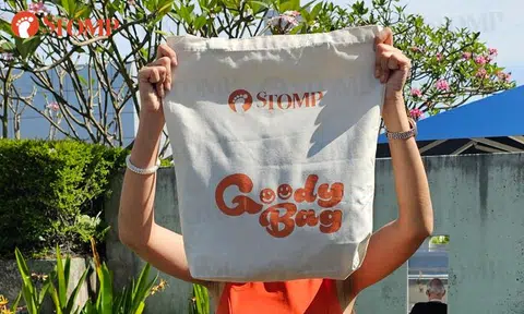 Help us design the Stomp website -- and stand to win a Goody Bag