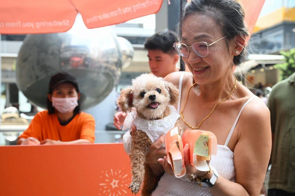 Ms Kimberly Wong, who joined the queue with her 13-year-old poodle Duchess, was handed two ice cream sandwiches – one for the dog – by Mr Cheong. ST PHOTO: SHINTARO TAY