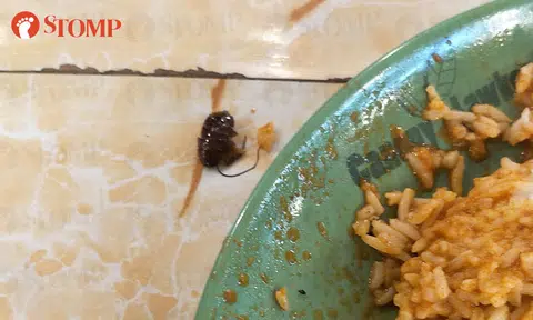 Man finds bug in nasi biryani from Clementi coffee shop, says he had diarrhoea for a few days