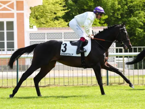 Leffard (Jean-Bernard Eyquem) ran second for trainer Jean-Claude Rouget in the Listed Prix de Suresnes (2,000m) at Chantilly on May 2. He will step out on the same track to contest the Group 1 Prix du Jockey Club (2,100m) on June 1. 