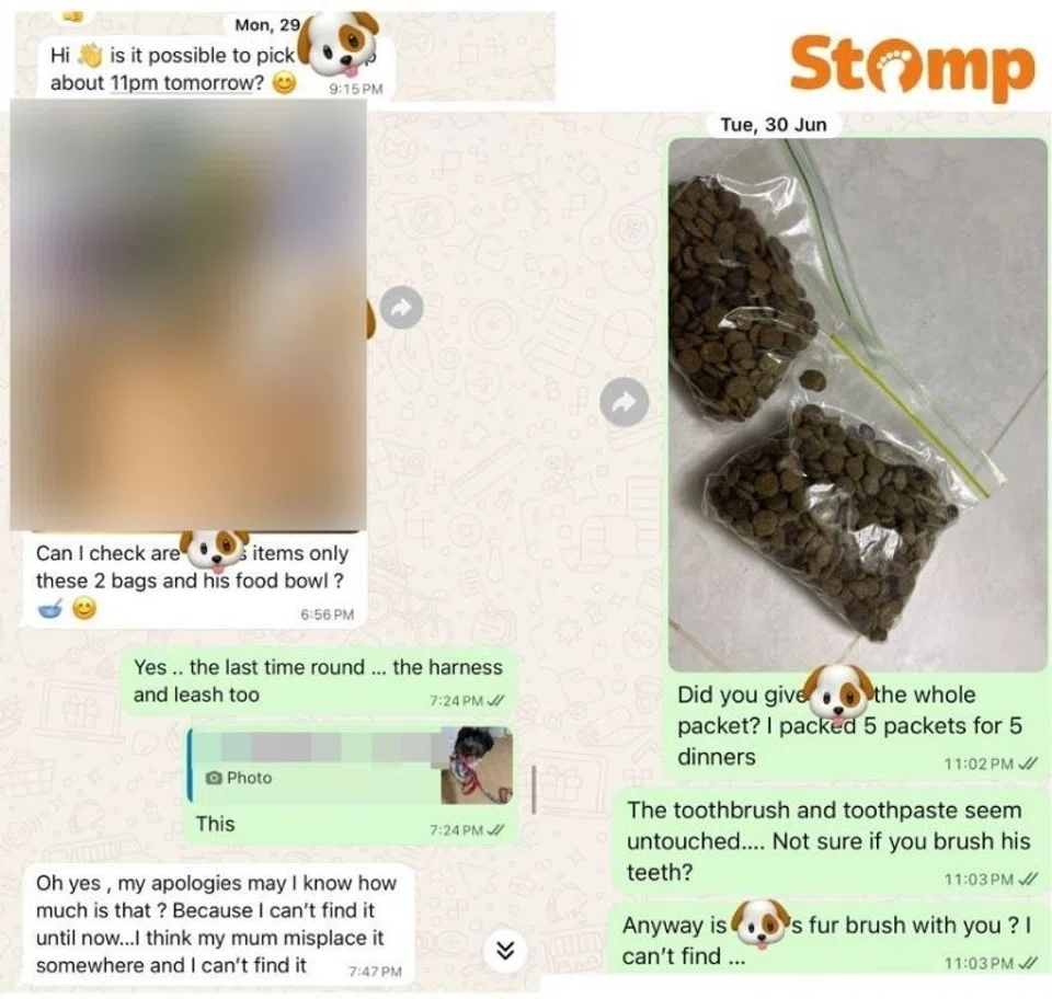Dog owner allegedly blocked by sitter over missing items, late fee dispute — then receives ‘sudden’ refund