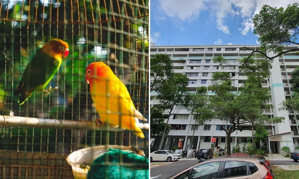 man throws bird cage down 10th floor, headbutts police officer while in remand