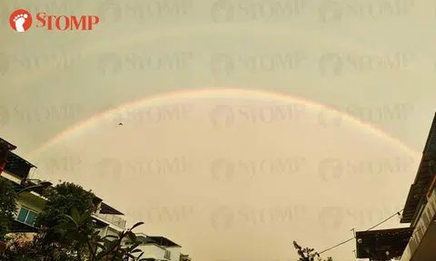 Double rainbow spotted across Singapore delights Stompers