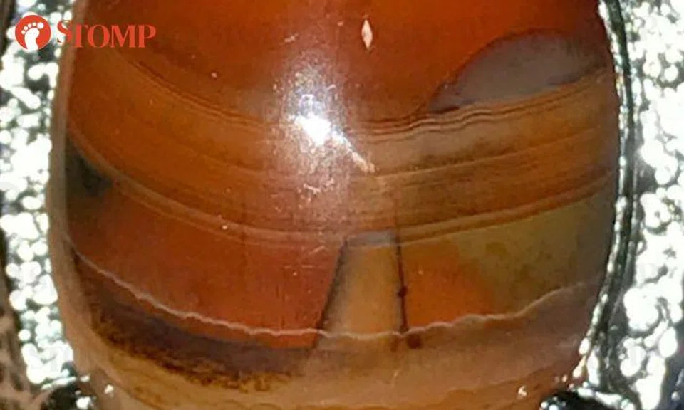 Can you see the beautiful scenery in this alluring stone?