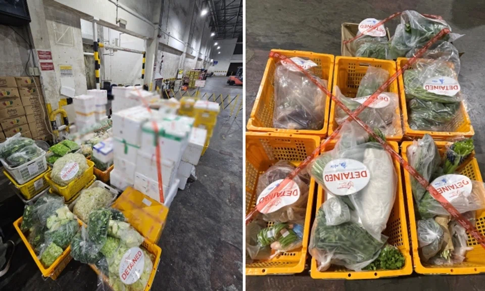 Produce illegally imported from Malaysia were seized 