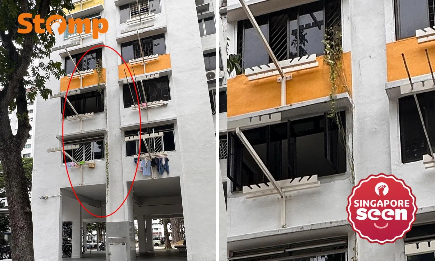 ‘Rapunzel’: Overgrown plant hanging from Eunos window pruned after town council engages with resident