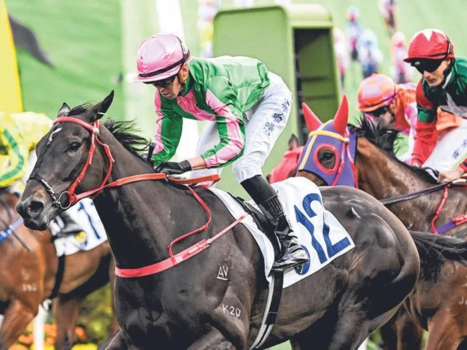 Bundle Award (Ben Thompson) grabbing victory late in a Class 2 (1,800m) at Sha Tin on March 9. He ran a creditable seventh in the Hong Kong Derby (2,000m) two weeks later. Champion jockey Zac Purton takes over in The Hong Kong Lions Cup (1,800m) at Sha Tin on April 20.
