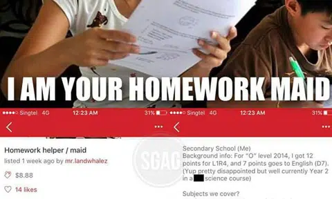 Poly student and sister offer their services as 'homework maids' online