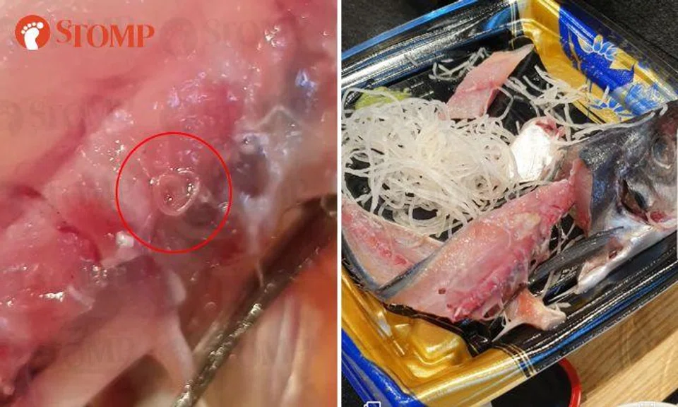 Diner finds 'parasite' wriggling in sashimi from Don Don Donki, SFA investigating