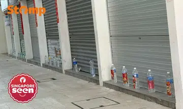 Feng shui or pest deterrence?