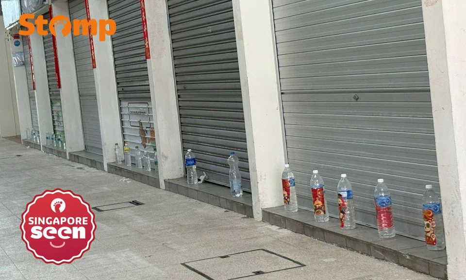 Feng shui or pest deterrence?